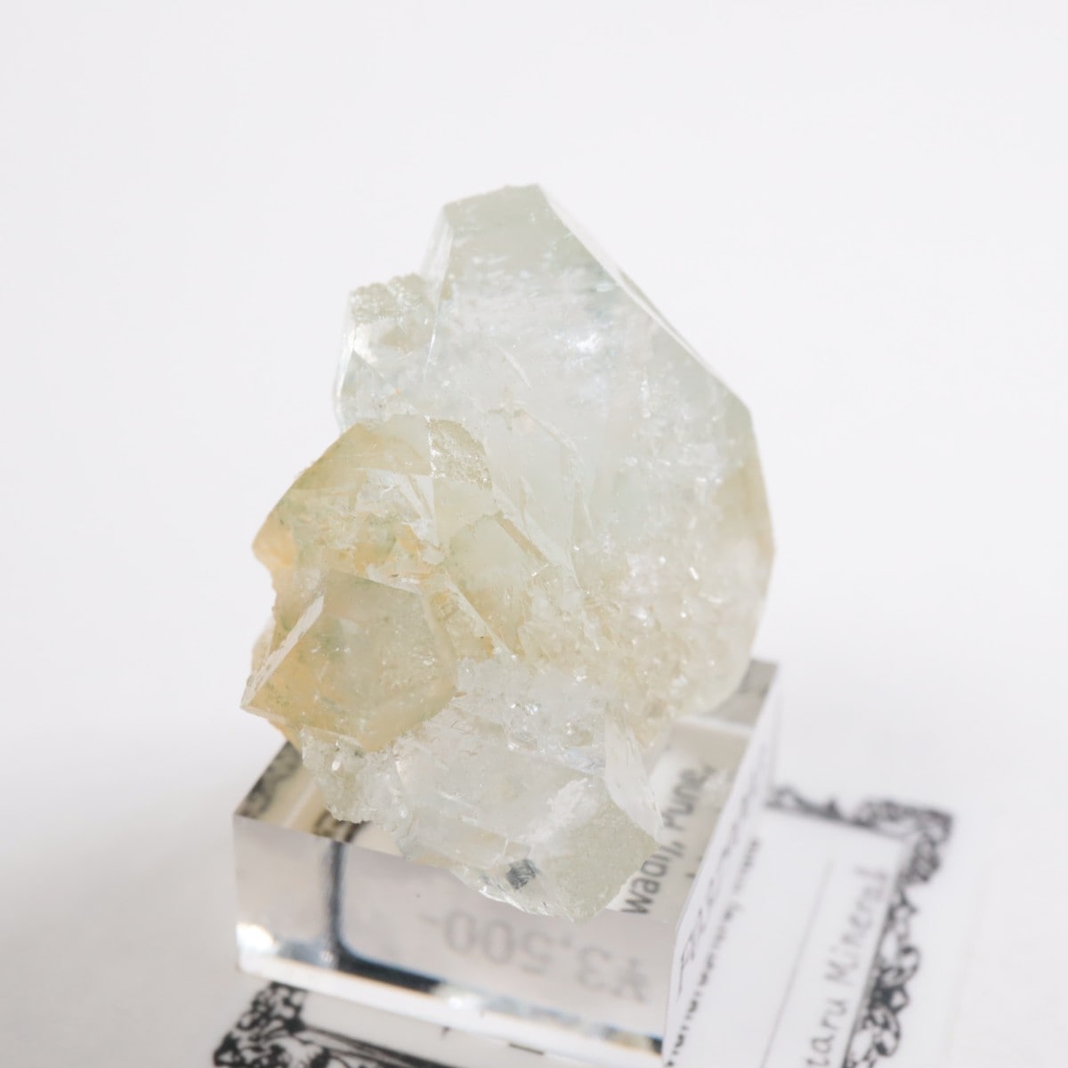 ����ɻ� ���ݥե��饤��