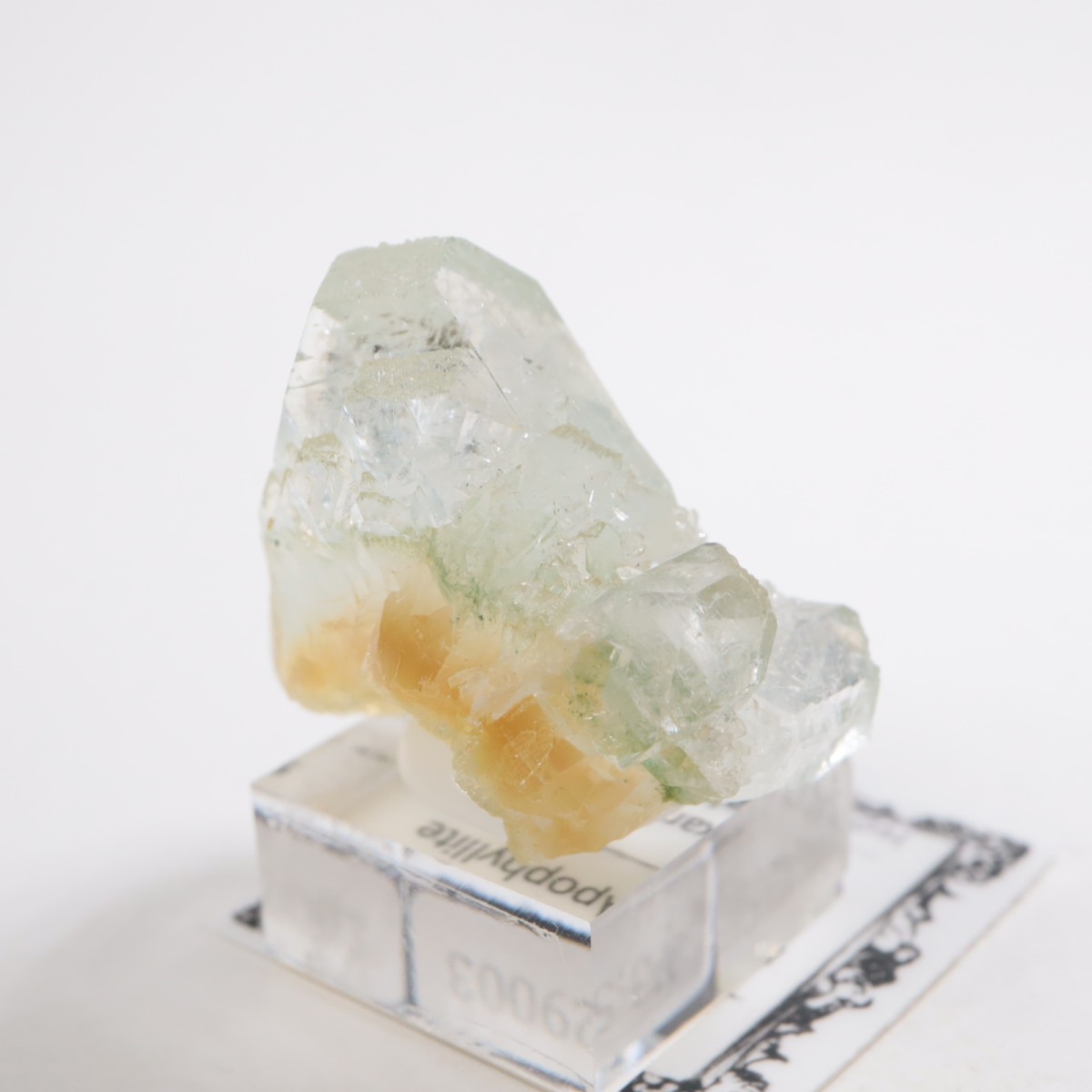 ����ɻ� ���ݥե��饤��