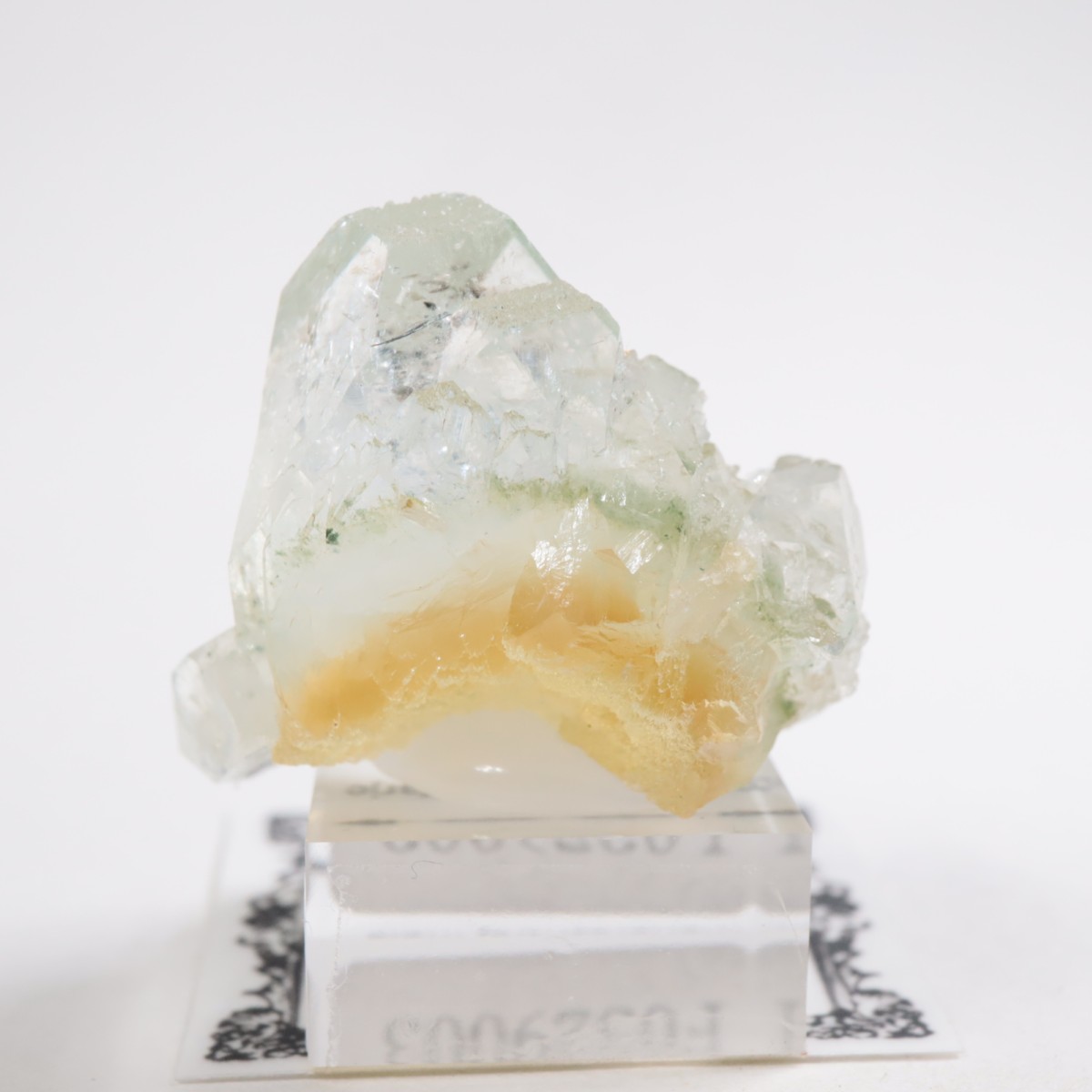 ����ɻ� ���ݥե��饤��