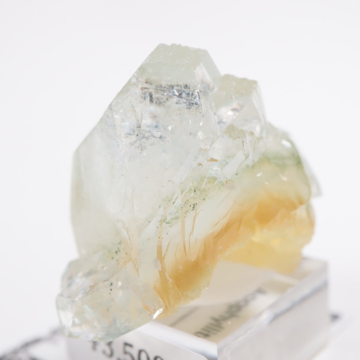 ����ɻ� ���ݥե��饤��