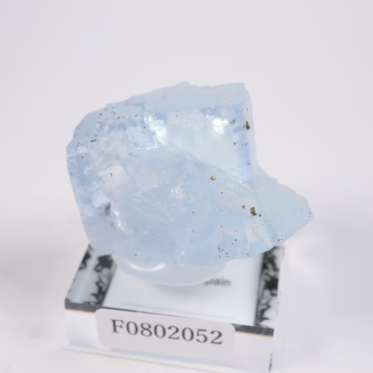 ���ڥ��� �ե����饤��