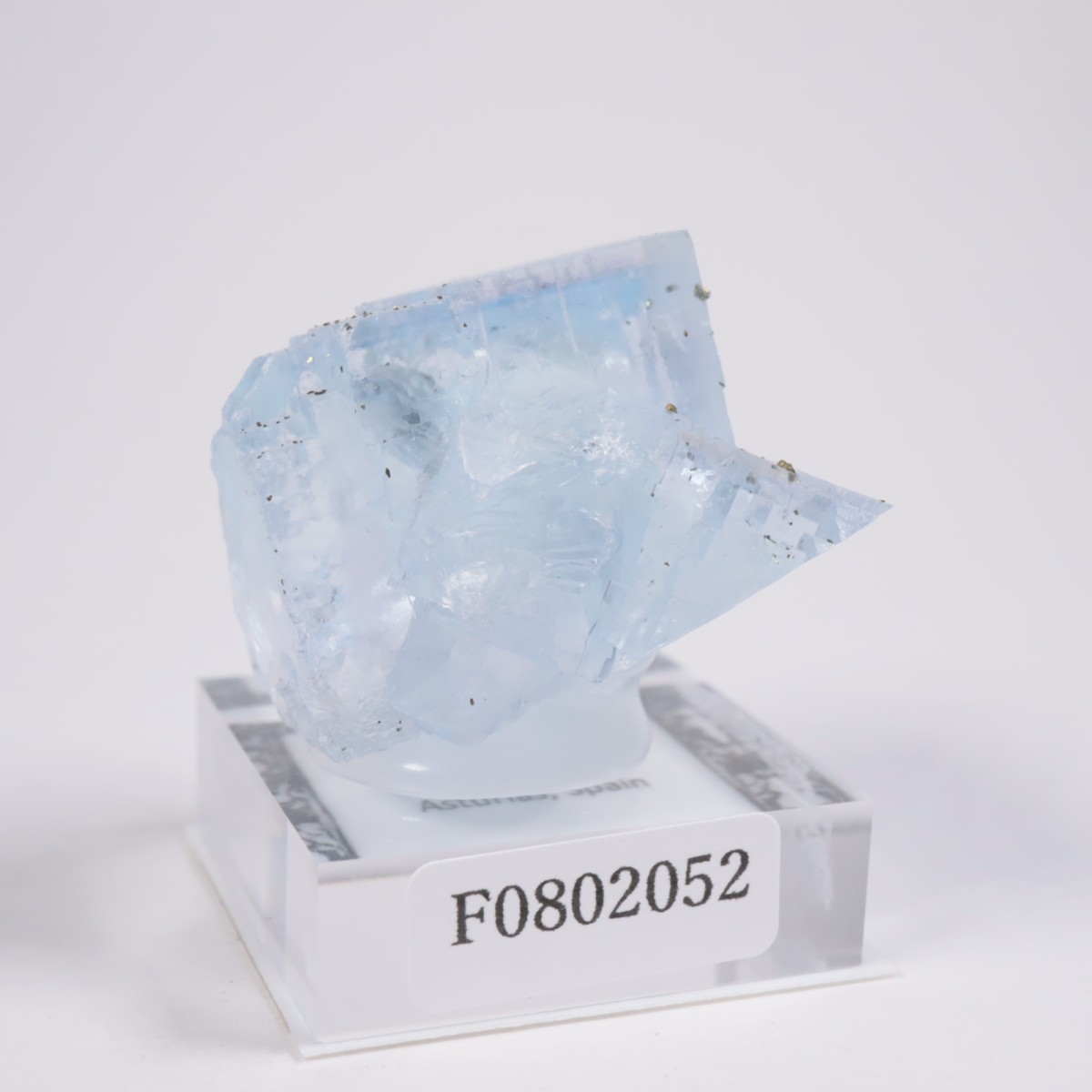 ���ڥ��� �ե����饤��