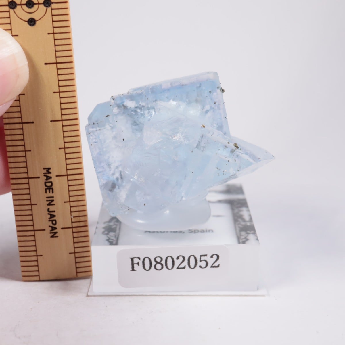 ���ڥ��� �ե����饤��