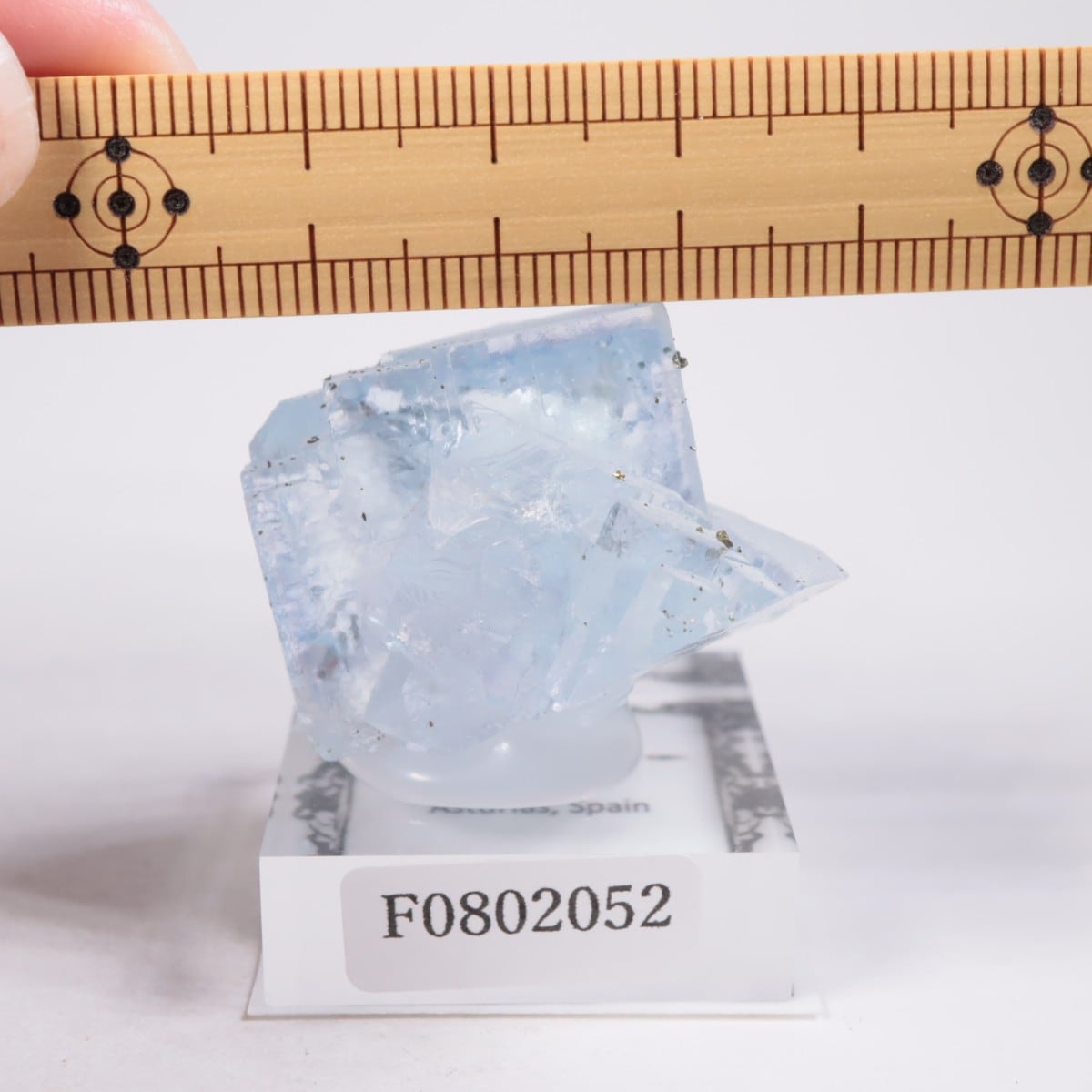 ���ڥ��� �ե����饤��