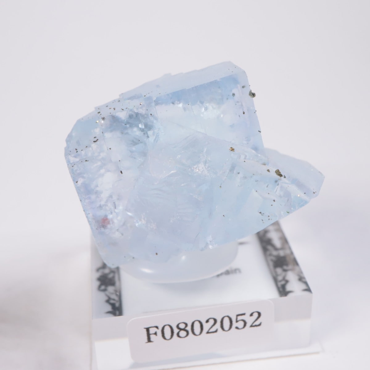 ���ڥ��� �ե����饤��