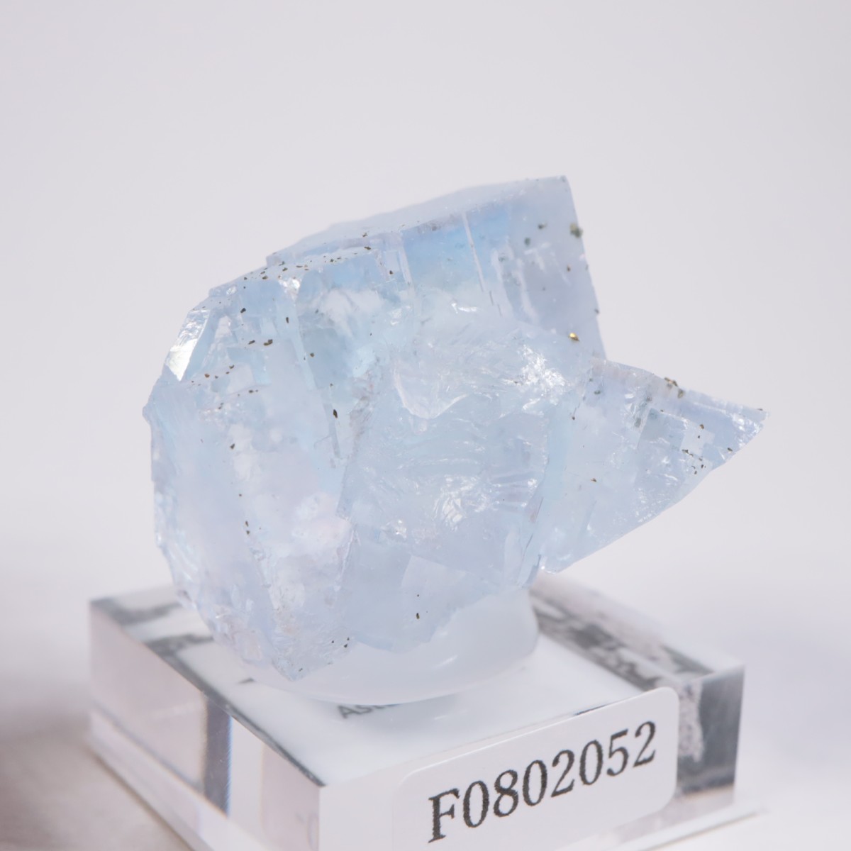 ���ڥ��� �ե����饤��