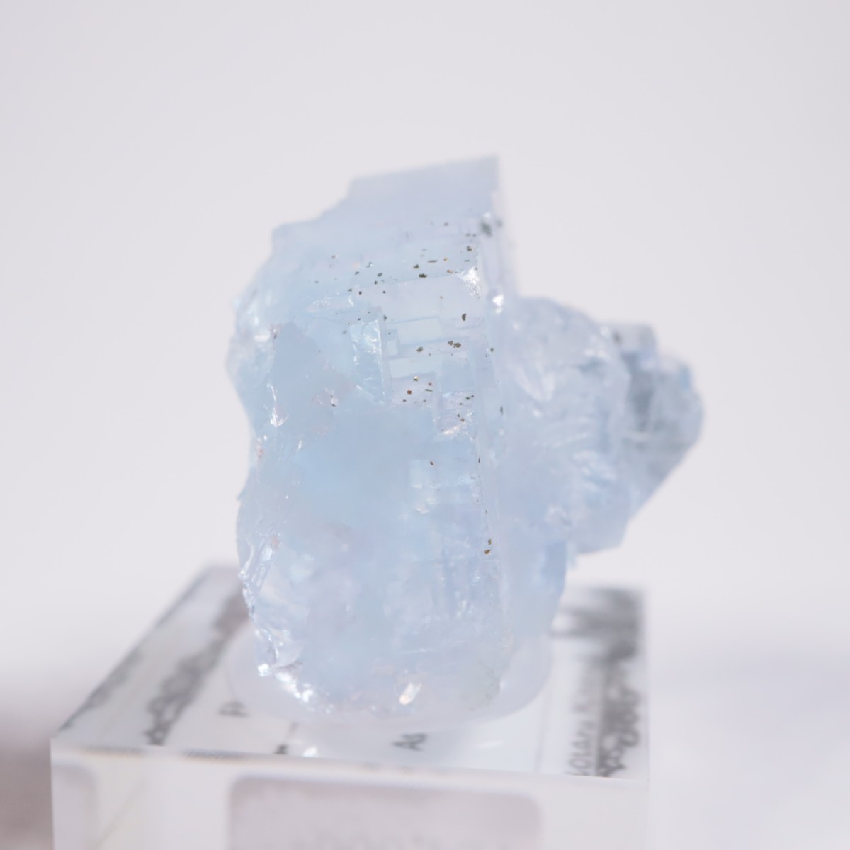 ���ڥ��� �ե����饤��