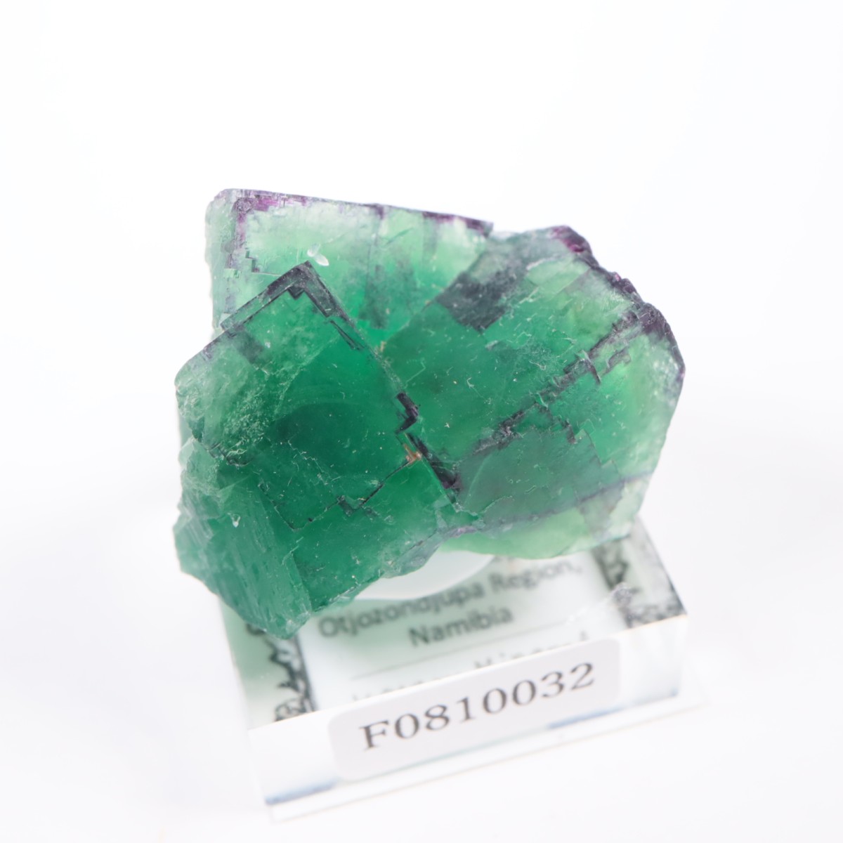 �����륹�ۻ� �ե����饤��