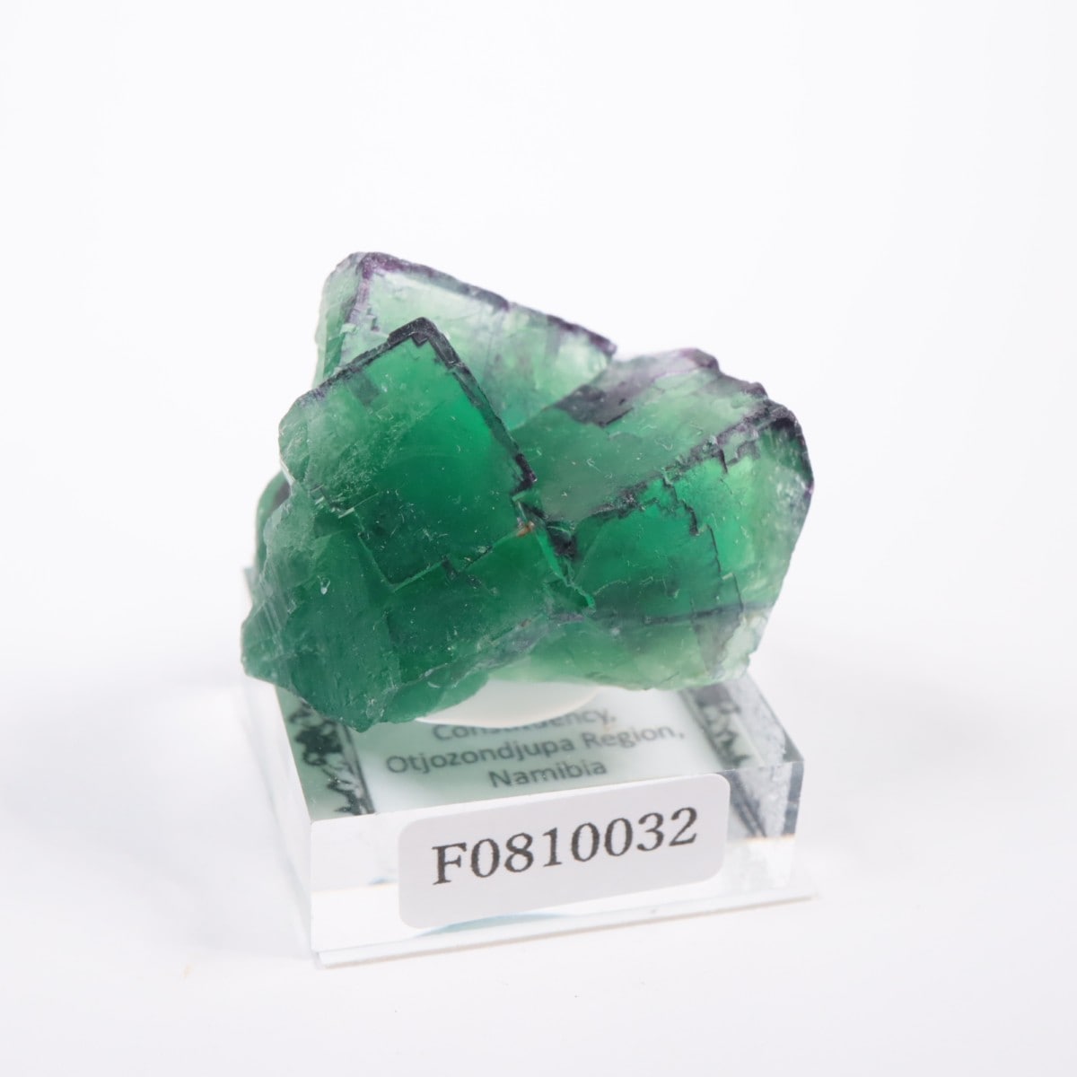 �����륹�ۻ� �ե����饤��