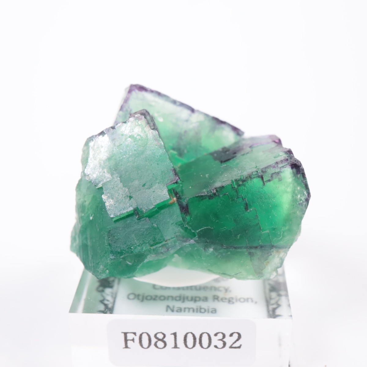 �����륹�ۻ� �ե����饤��