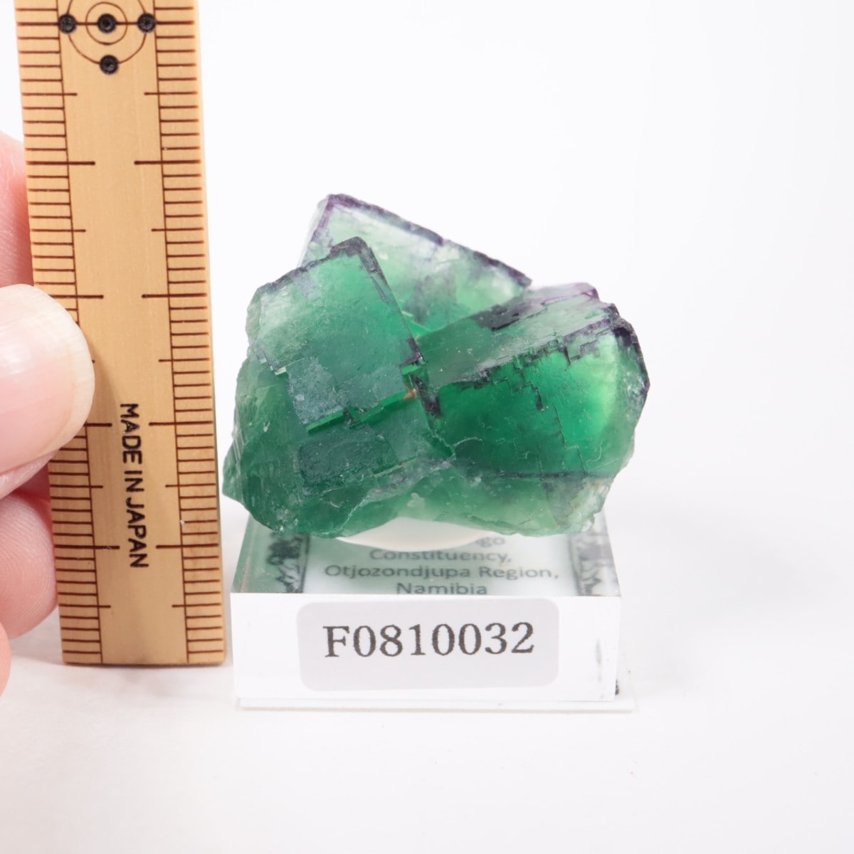 �����륹�ۻ� �ե����饤��