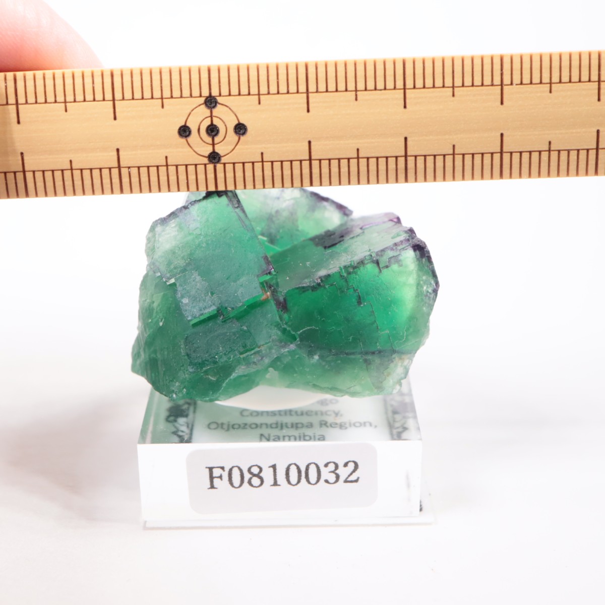 �����륹�ۻ� �ե����饤��