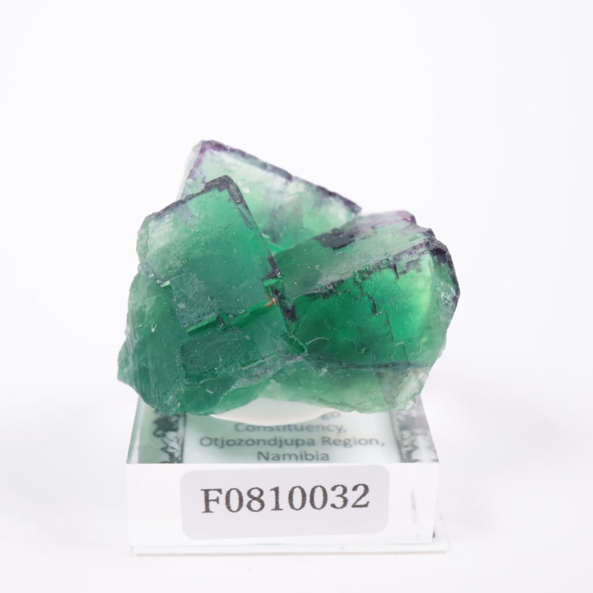 �����륹�ۻ� �ե����饤��