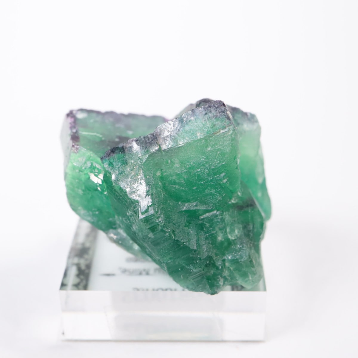 �����륹�ۻ� �ե����饤��