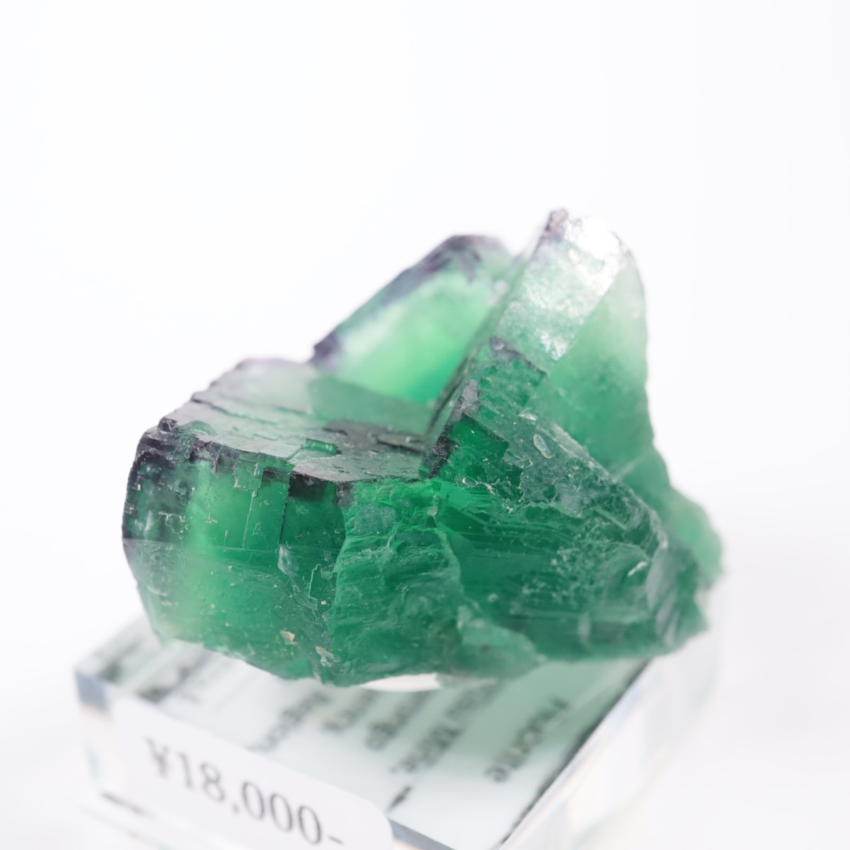 �����륹�ۻ� �ե����饤��