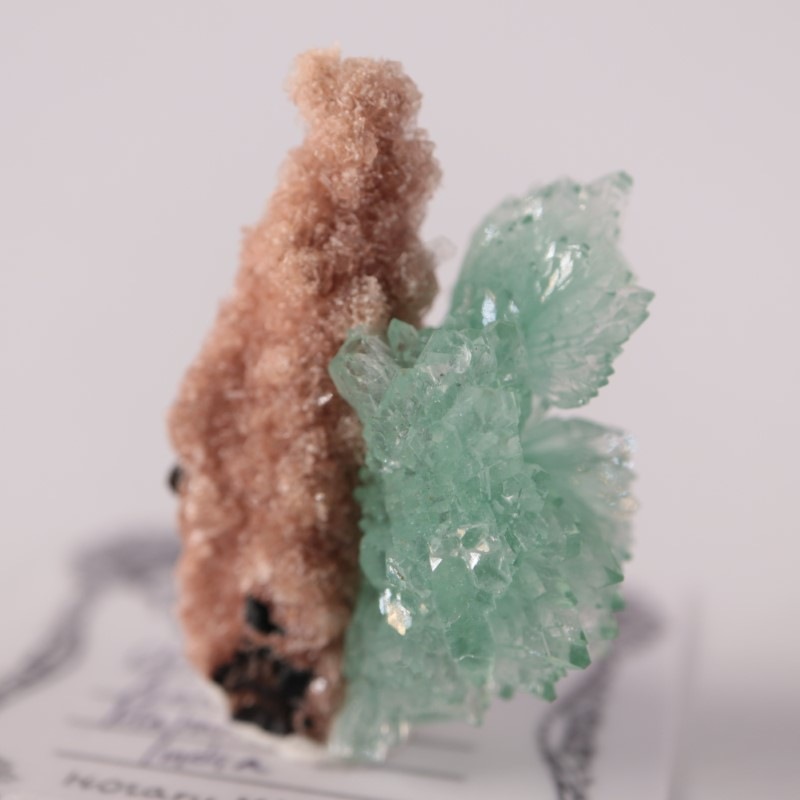 インド産アポフィライト | 鉱物標本,ア行,アポフィライト/魚眼石