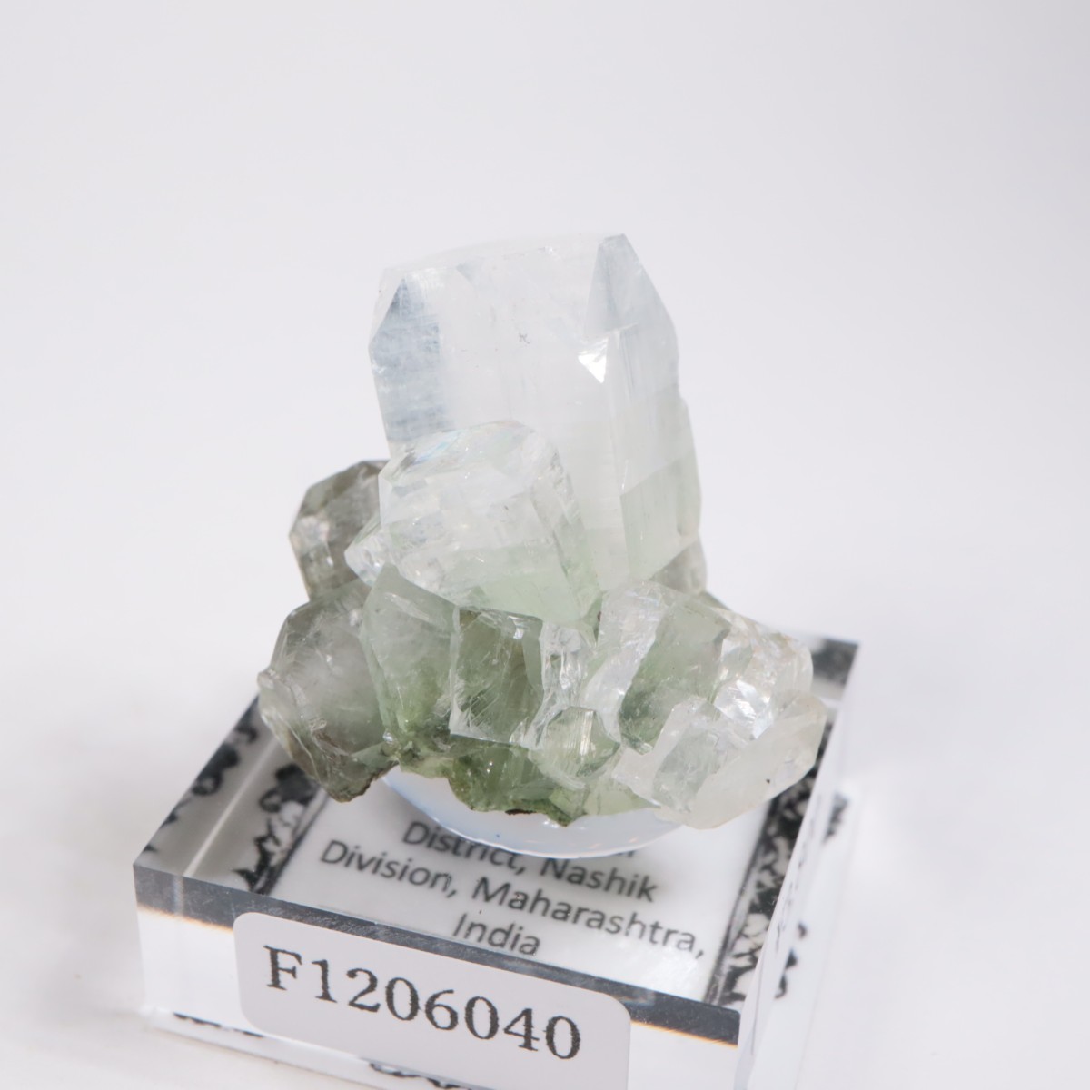 ����ɻ� ���ݥե��饤��