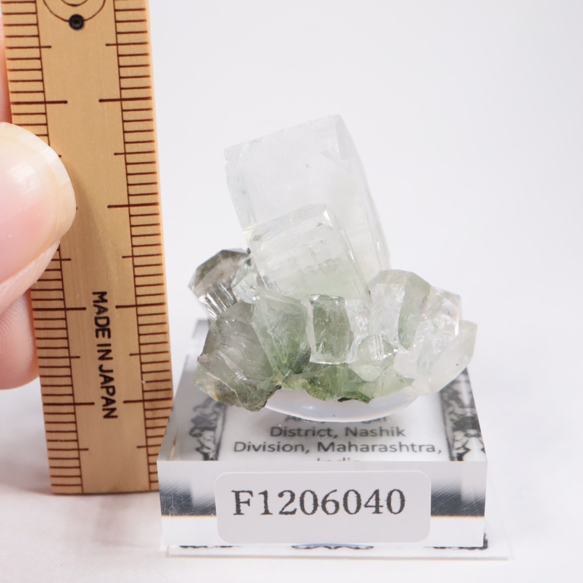 ����ɻ� ���ݥե��饤��