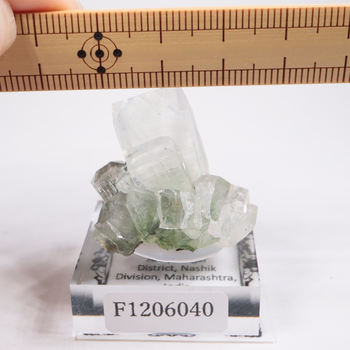 ����ɻ� ���ݥե��饤��