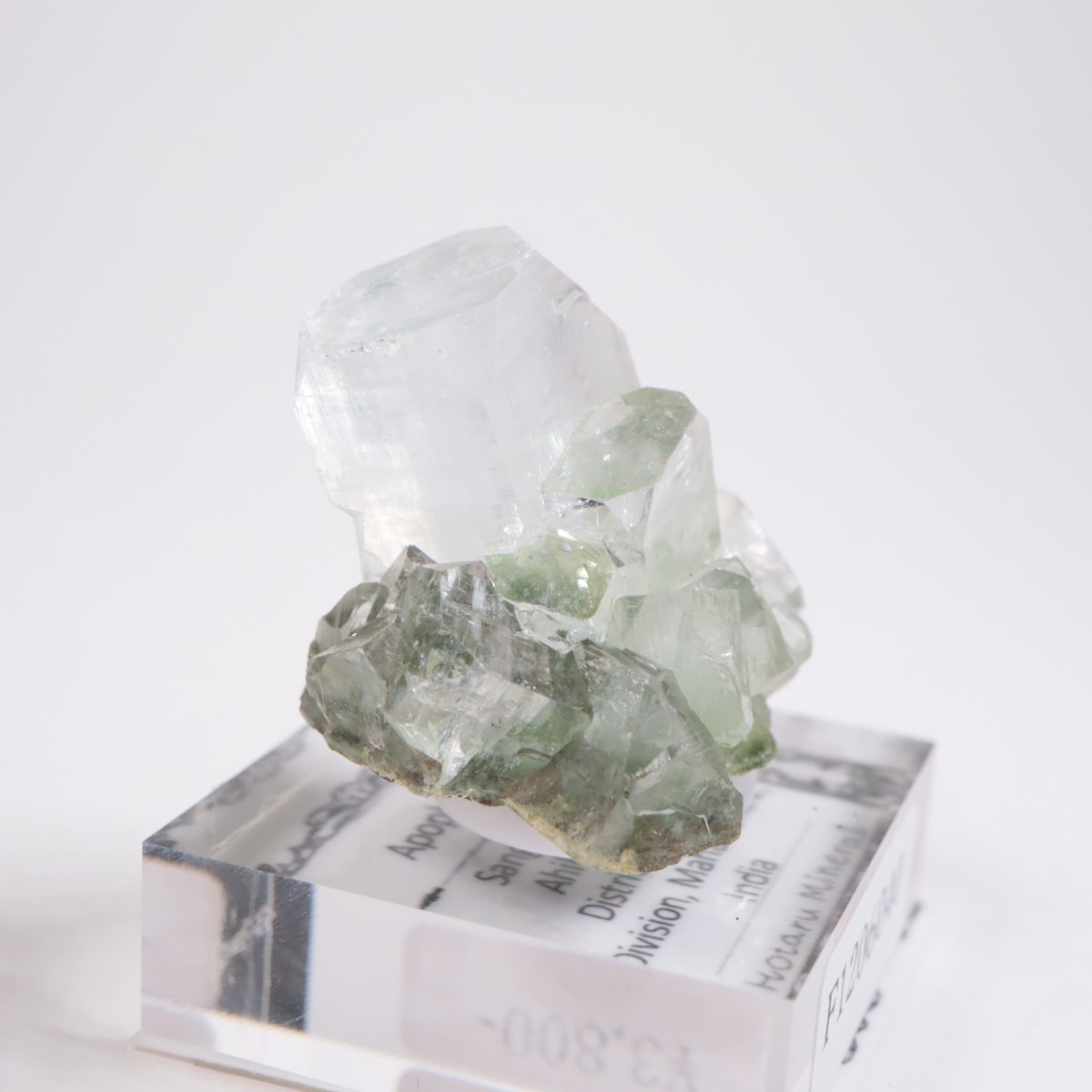 ����ɻ� ���ݥե��饤��