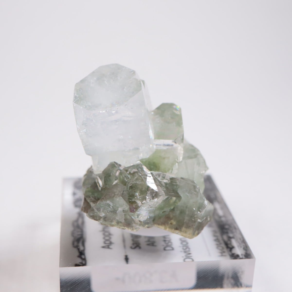 ����ɻ� ���ݥե��饤��