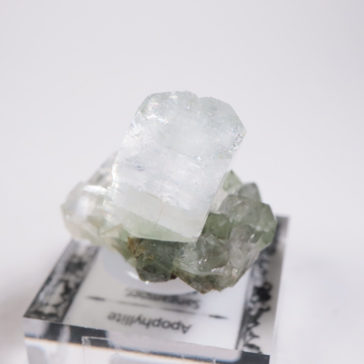 ����ɻ� ���ݥե��饤��