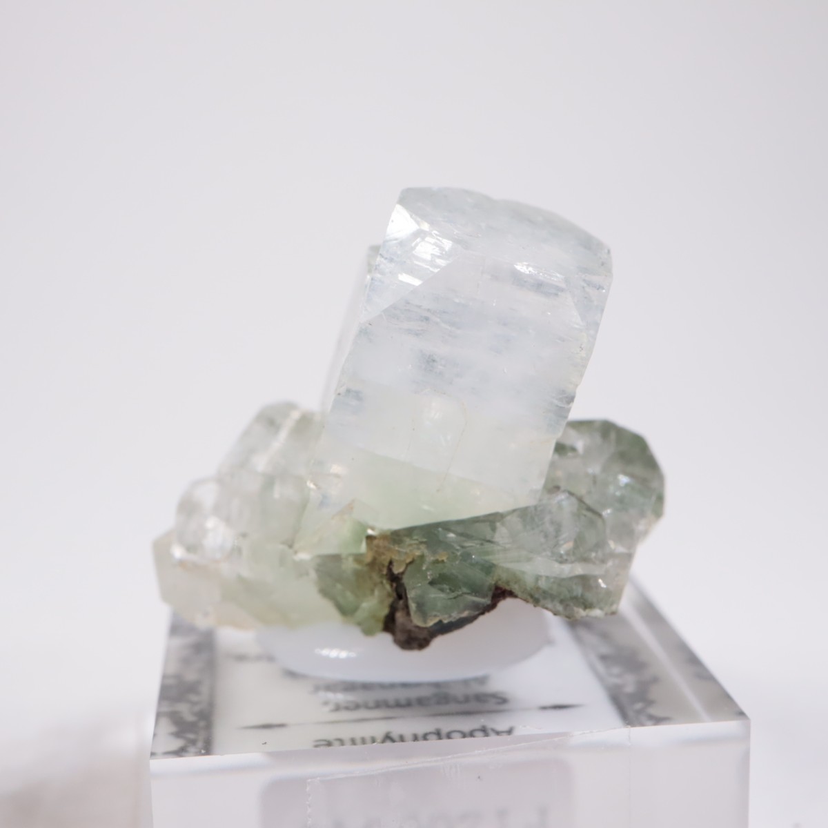 ����ɻ� ���ݥե��饤��