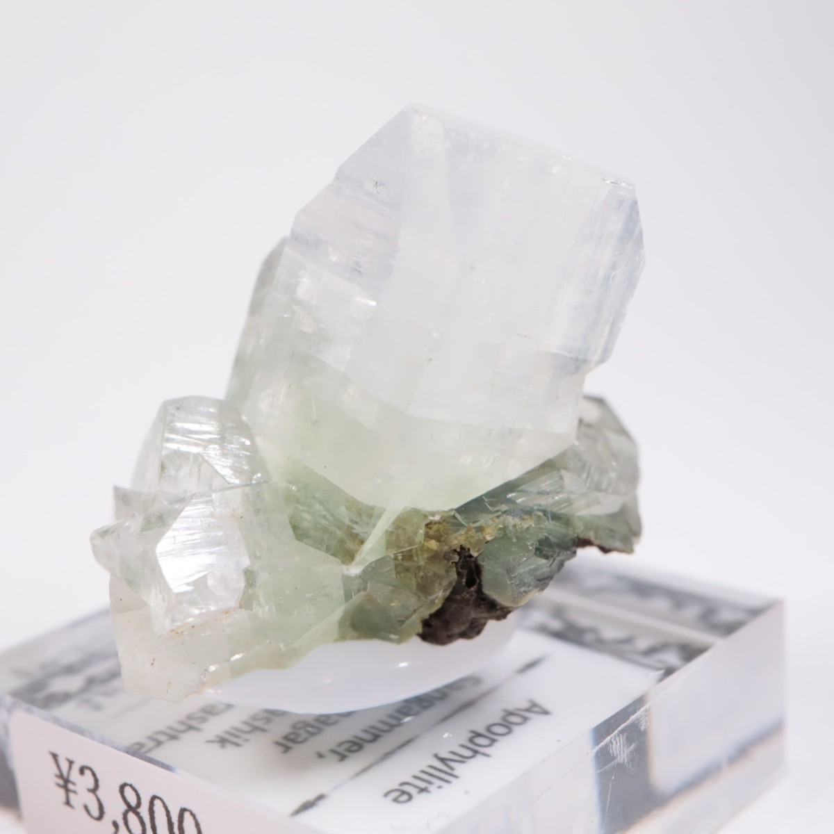 ����ɻ� ���ݥե��饤��