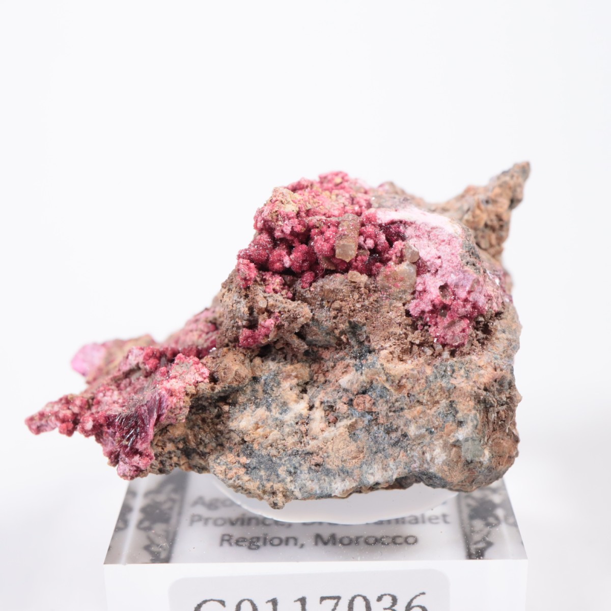 ����å��� ���ꥹ�饤��