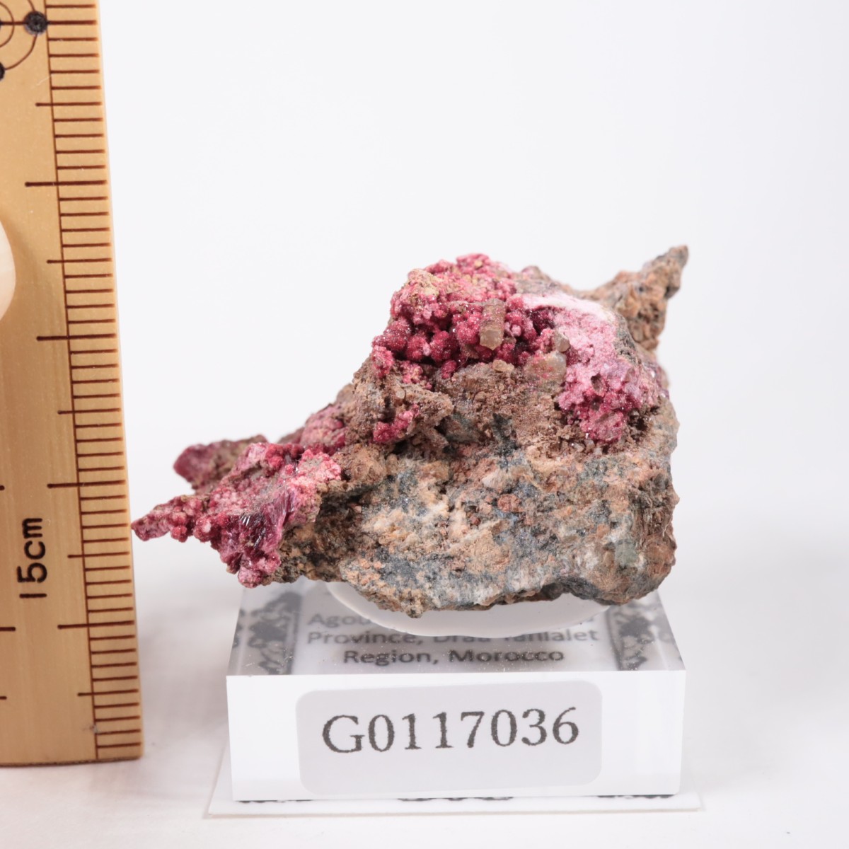 ����å��� ���ꥹ�饤��