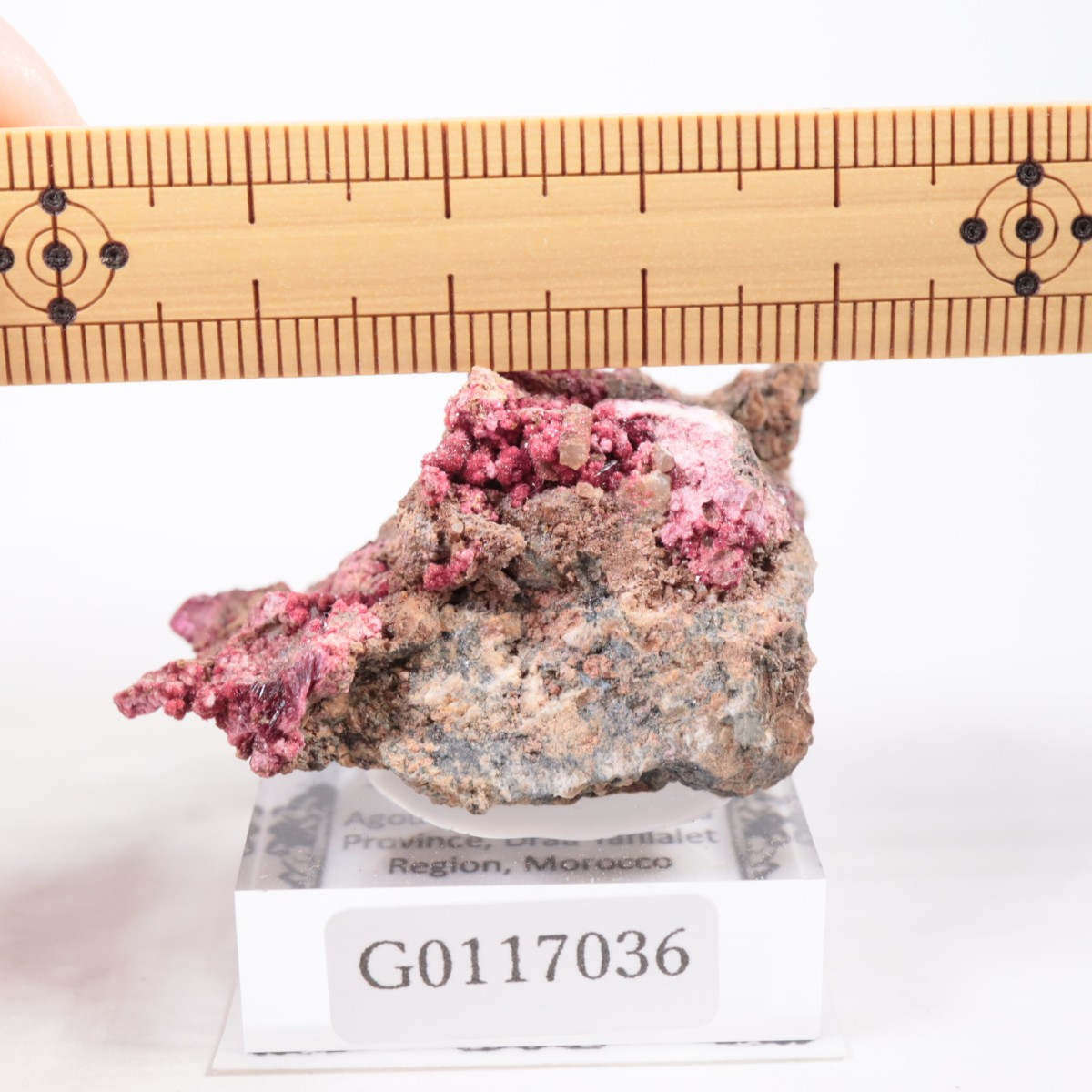 ����å��� ���ꥹ�饤��