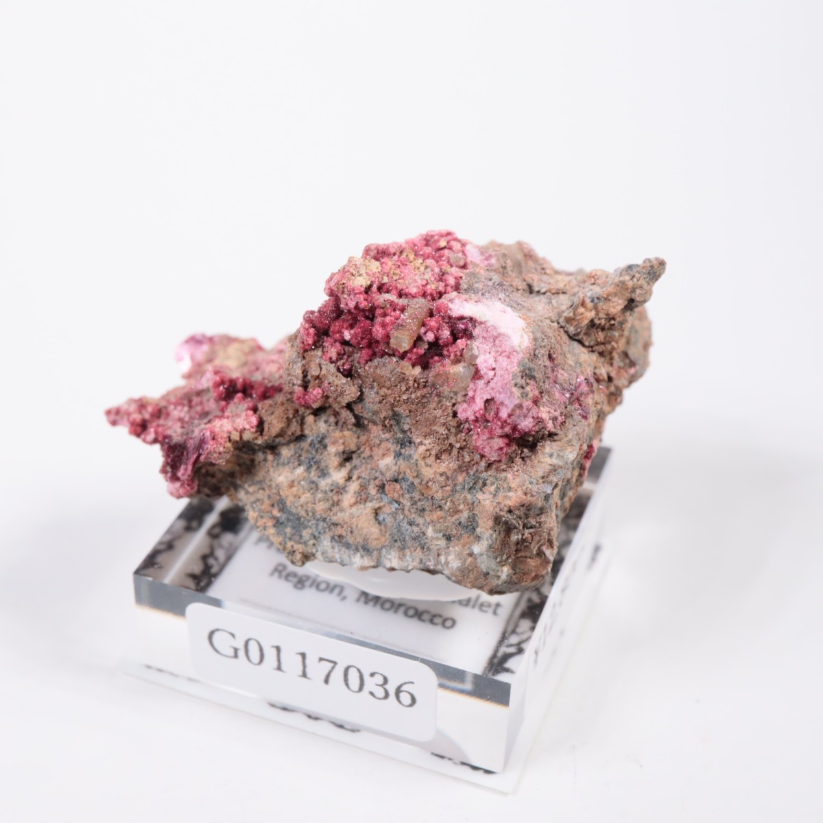 ����å��� ���ꥹ�饤��