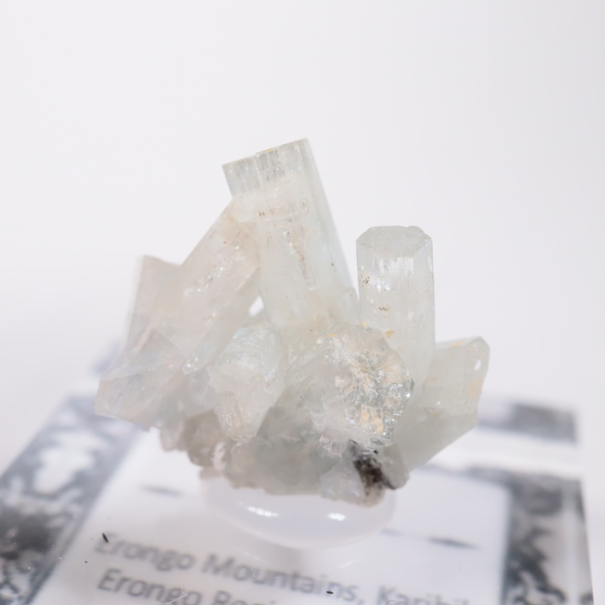 �����󥴹ۻ��� �٥��