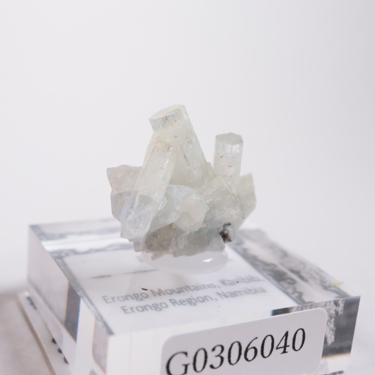 �����󥴹ۻ��� �٥��