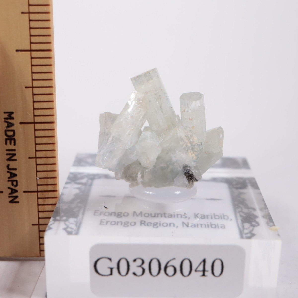 �����󥴹ۻ��� �٥��