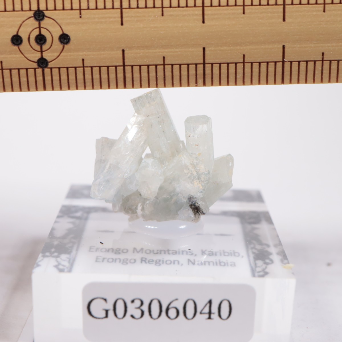 �����󥴹ۻ��� �٥��