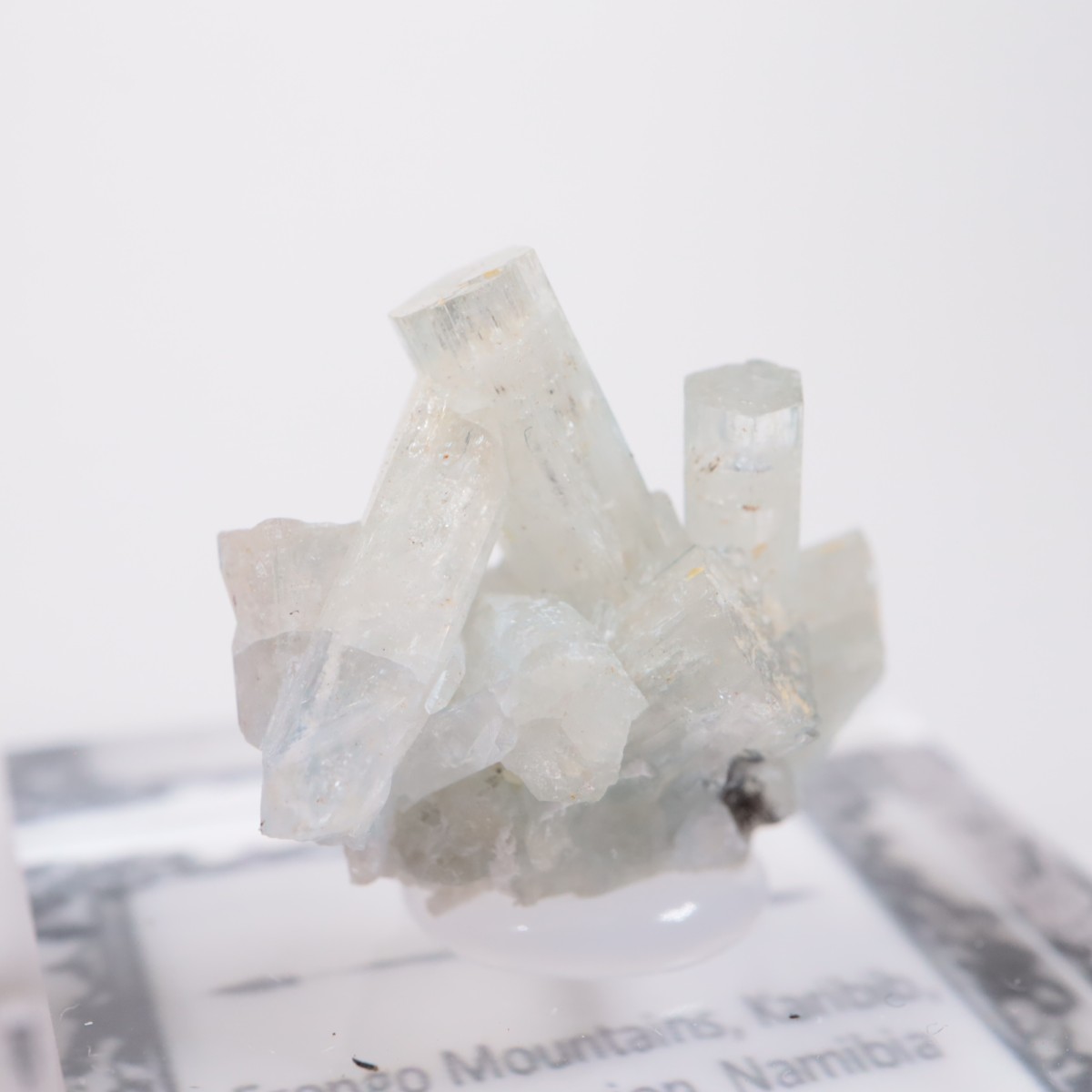 �����󥴹ۻ��� �٥��