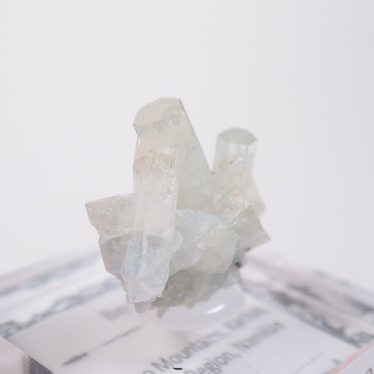 �����󥴹ۻ��� �٥��