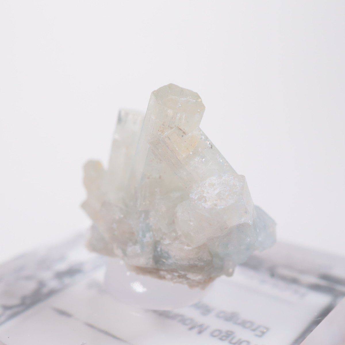 �����󥴹ۻ��� �٥��