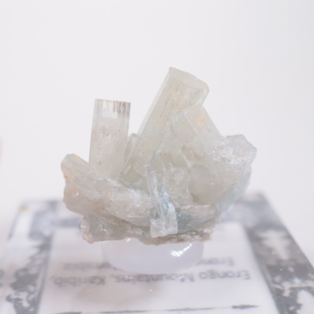 �����󥴹ۻ��� �٥��