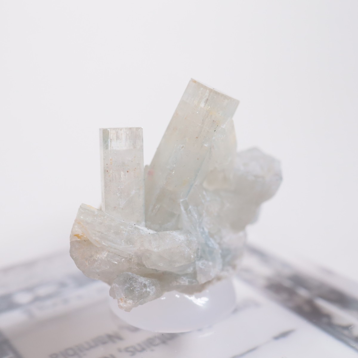 �����󥴹ۻ��� �٥��