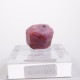Winza�� ��ӡ�