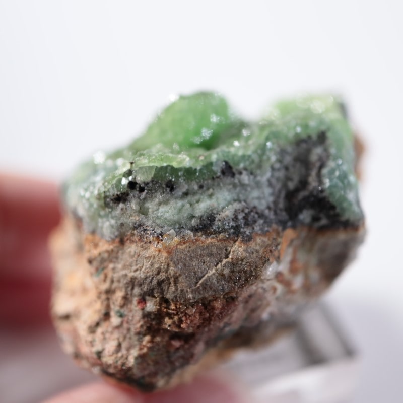 �ĥ�ֹۻ������ߥ��ʥ���