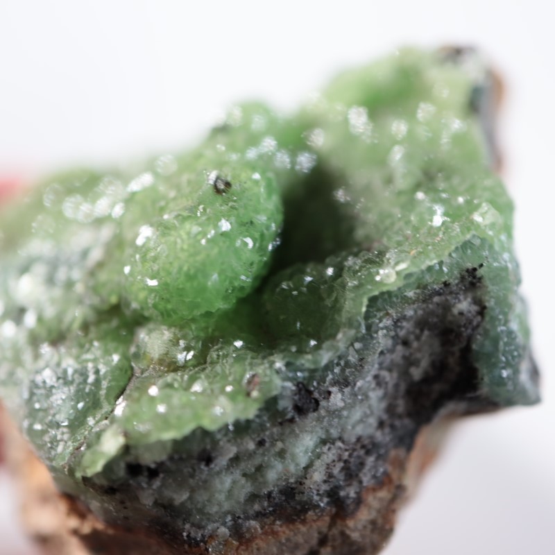 �ĥ�ֹۻ������ߥ��ʥ���