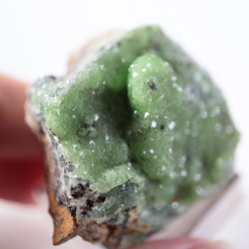 �ĥ�ֹۻ������ߥ��ʥ���