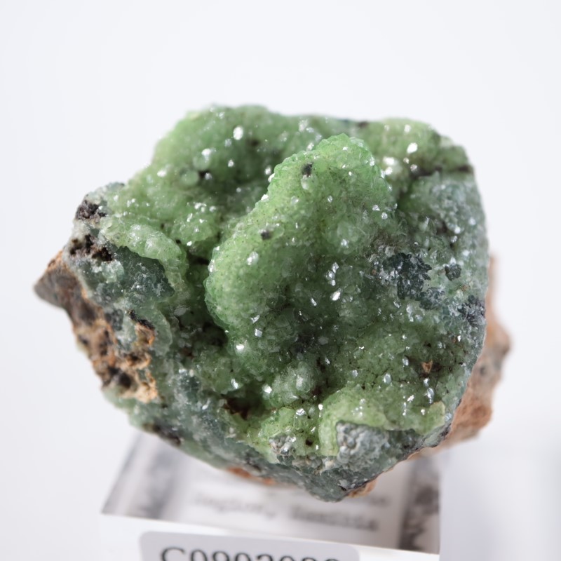 �ĥ�ֹۻ������ߥ��ʥ���