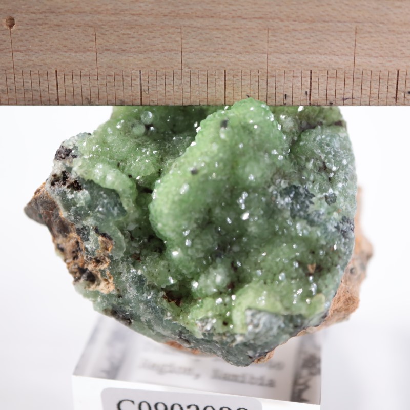 �ĥ�ֹۻ������ߥ��ʥ���