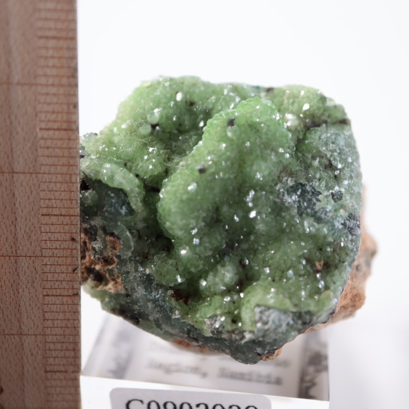 �ĥ�ֹۻ������ߥ��ʥ���