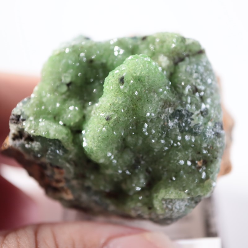 �ĥ�ֹۻ������ߥ��ʥ���