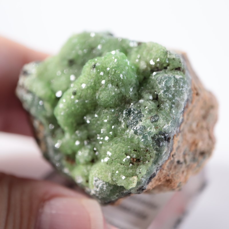 �ĥ�ֹۻ������ߥ��ʥ���